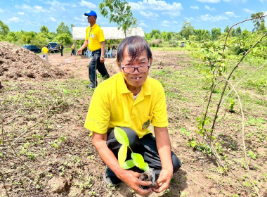 โครงการอาสาสมัครสหกรณ์ กิจกรรมพัฒนาอาสาสมัครสหกรณ์ ... พารามิเตอร์รูปภาพ 25